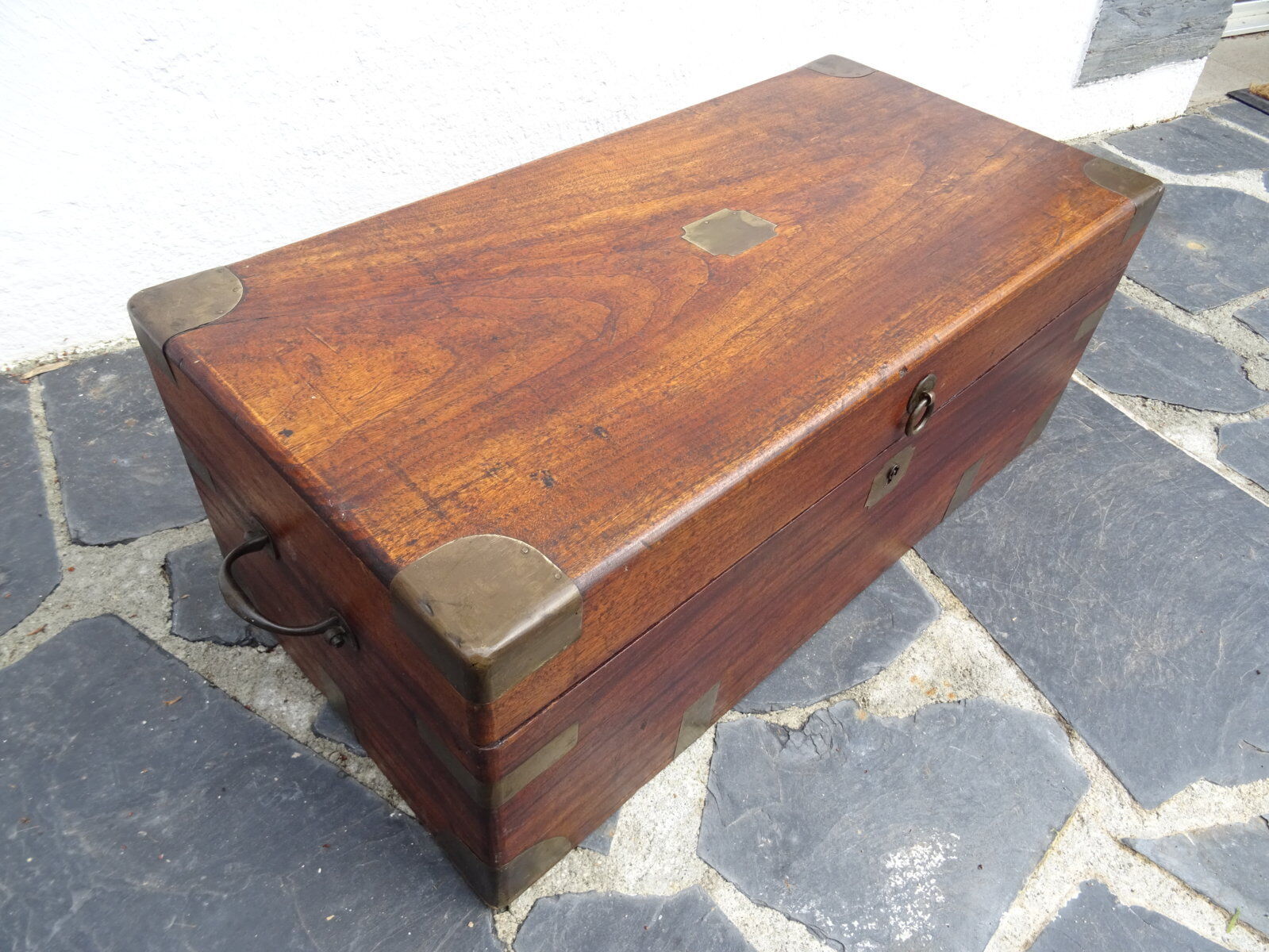 Old marine trunk in camphor tree