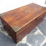 Old marine trunk in camphor tree