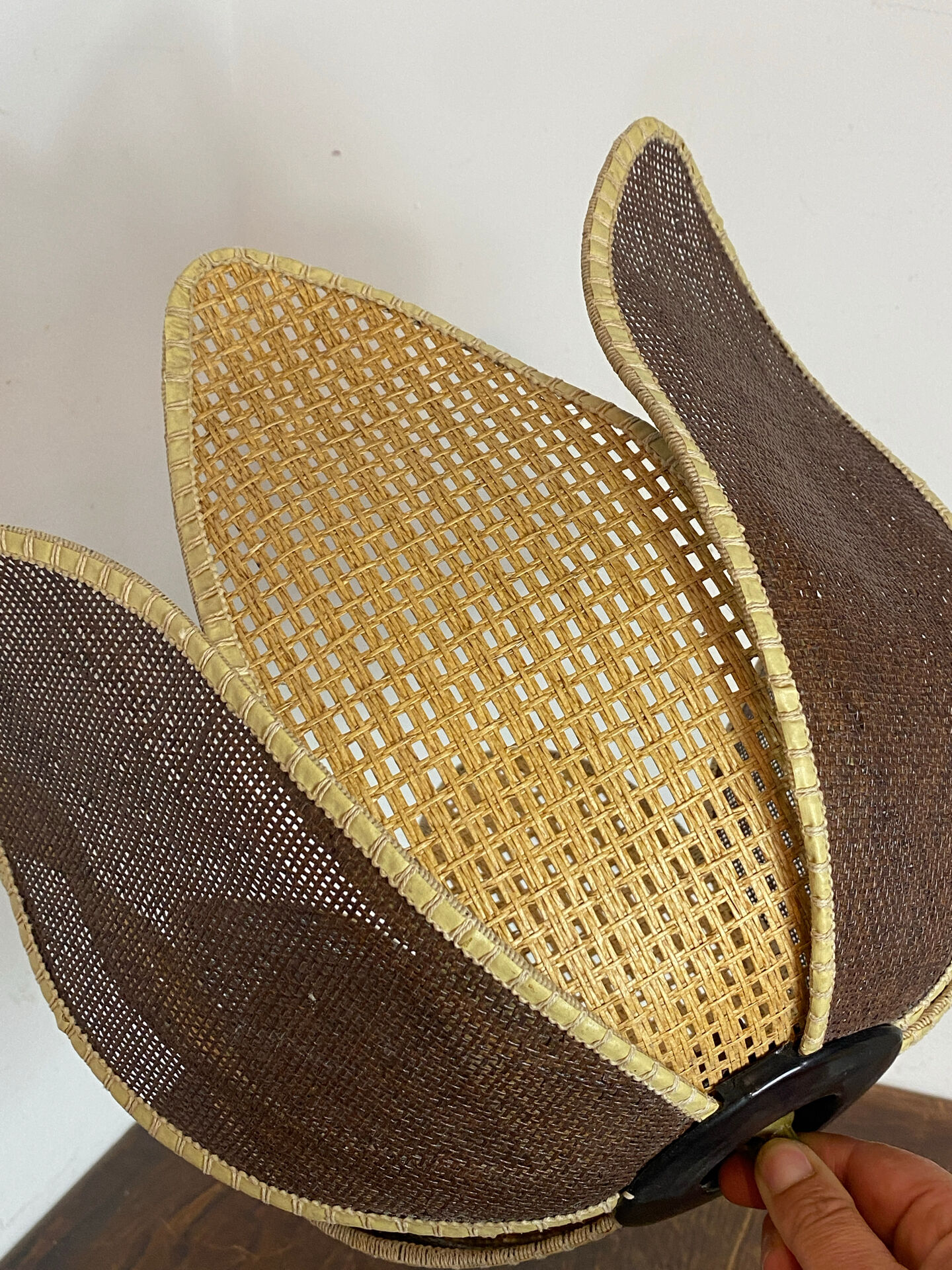 Organic rattan suspension