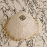 Paire d'abat-jours en verre vintage