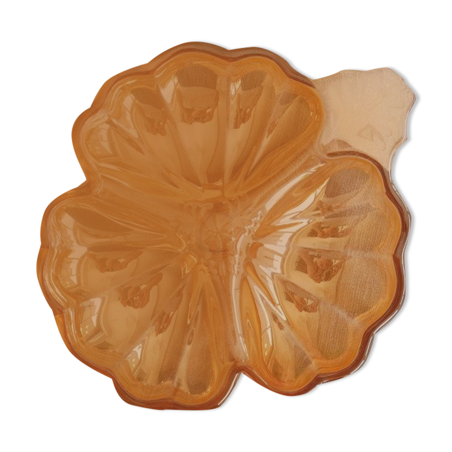 Empty pocket iridescent orange flower