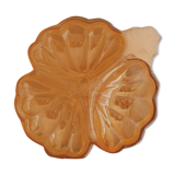 Empty pocket iridescent orange flower