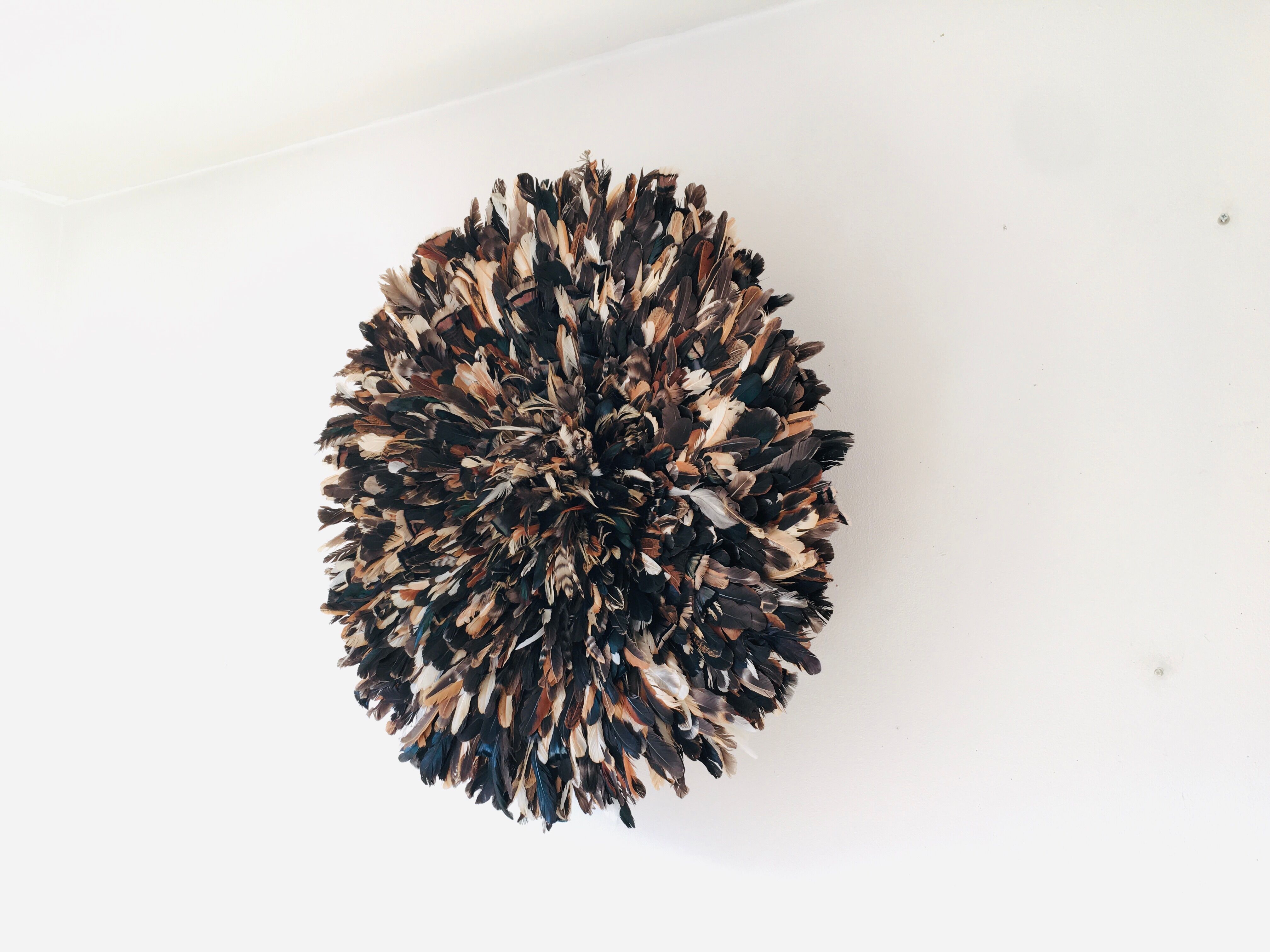 Speckled black jujuhat 80 cm