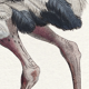 Lithographie gravure chimu00e8re animal - le sajoutruche