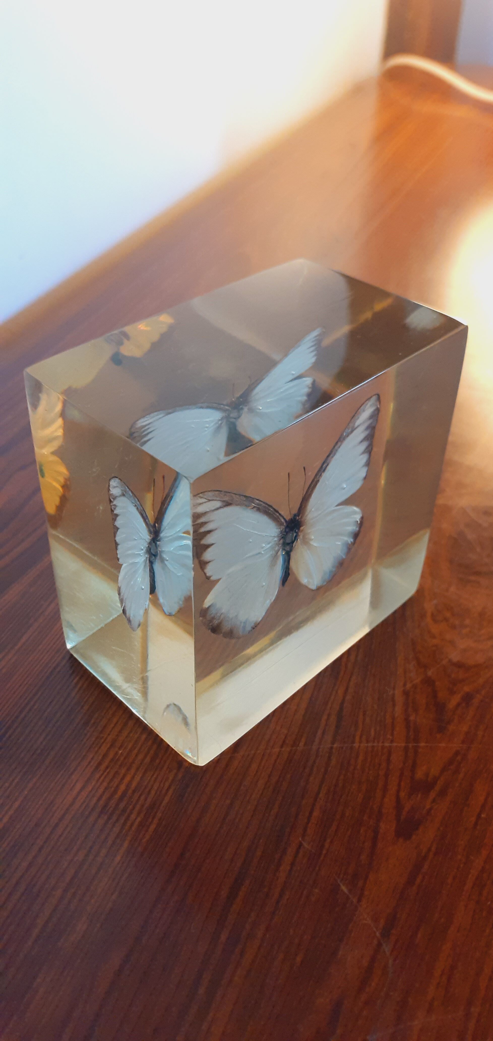 Office paperweight year 60 inclusion Butterfly