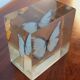 Office paperweight year 60 inclusion Butterfly
