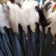 Juju hat in handmade feather 65 cm