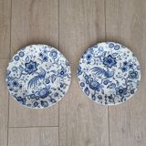 2 Villeroy and Boch Paradiso dinner plates