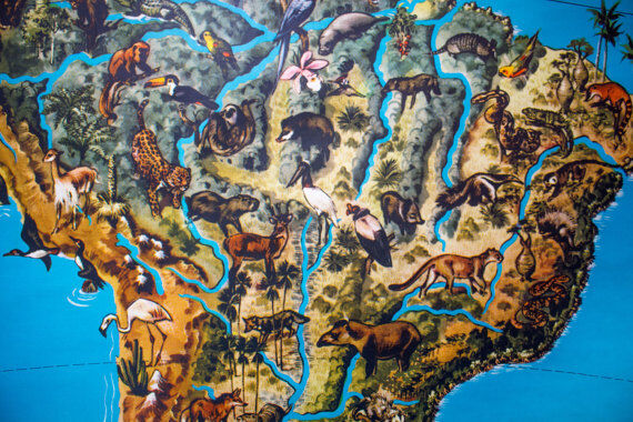 Affiche "les animaux du monde" 1964