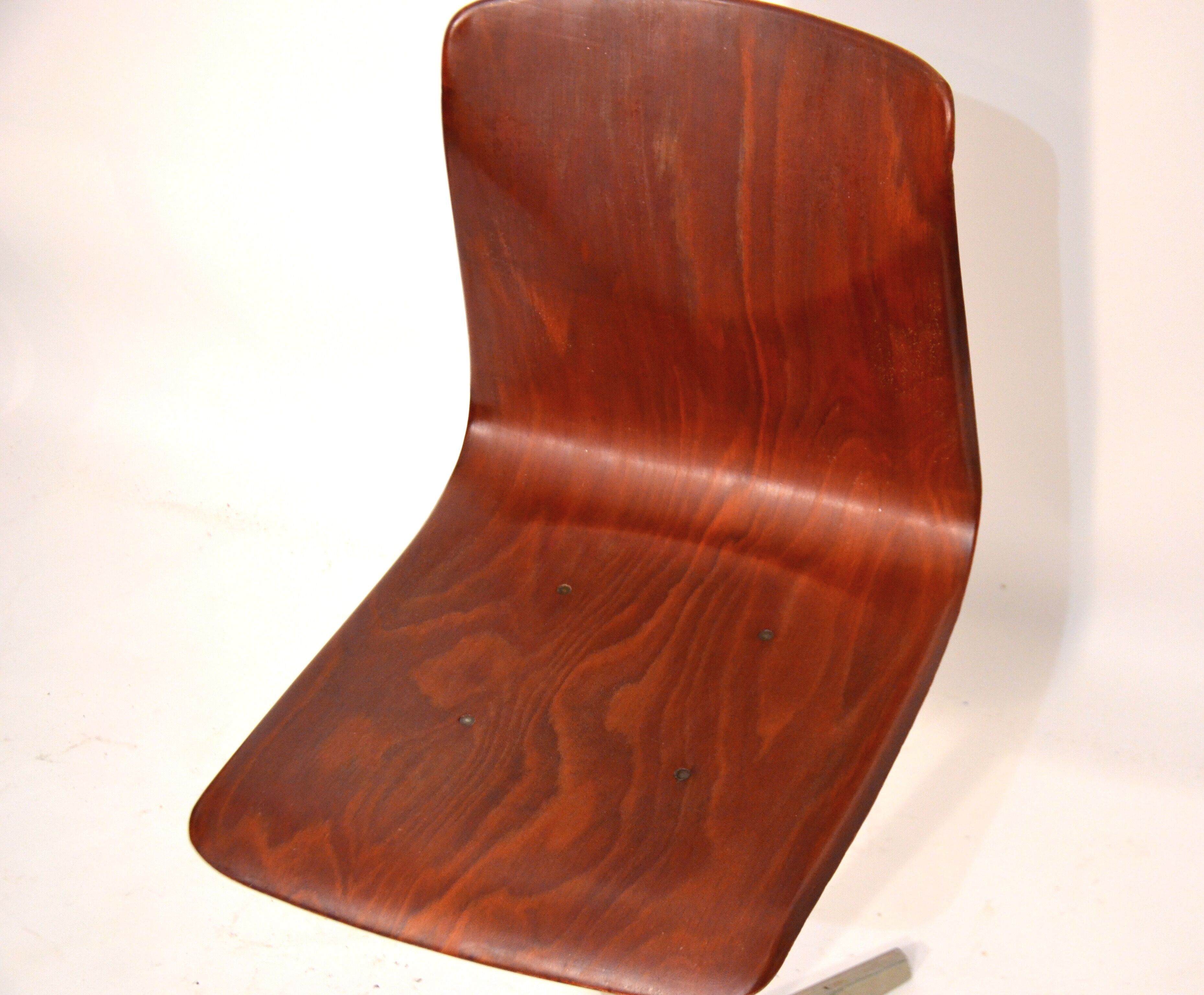 Pagholz grey star foot chair