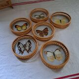 6 70's Butterflies under glass and their support