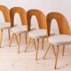 Set of 10 MidCentury Dining Chairs by A. Šuman, Reupholstery Options