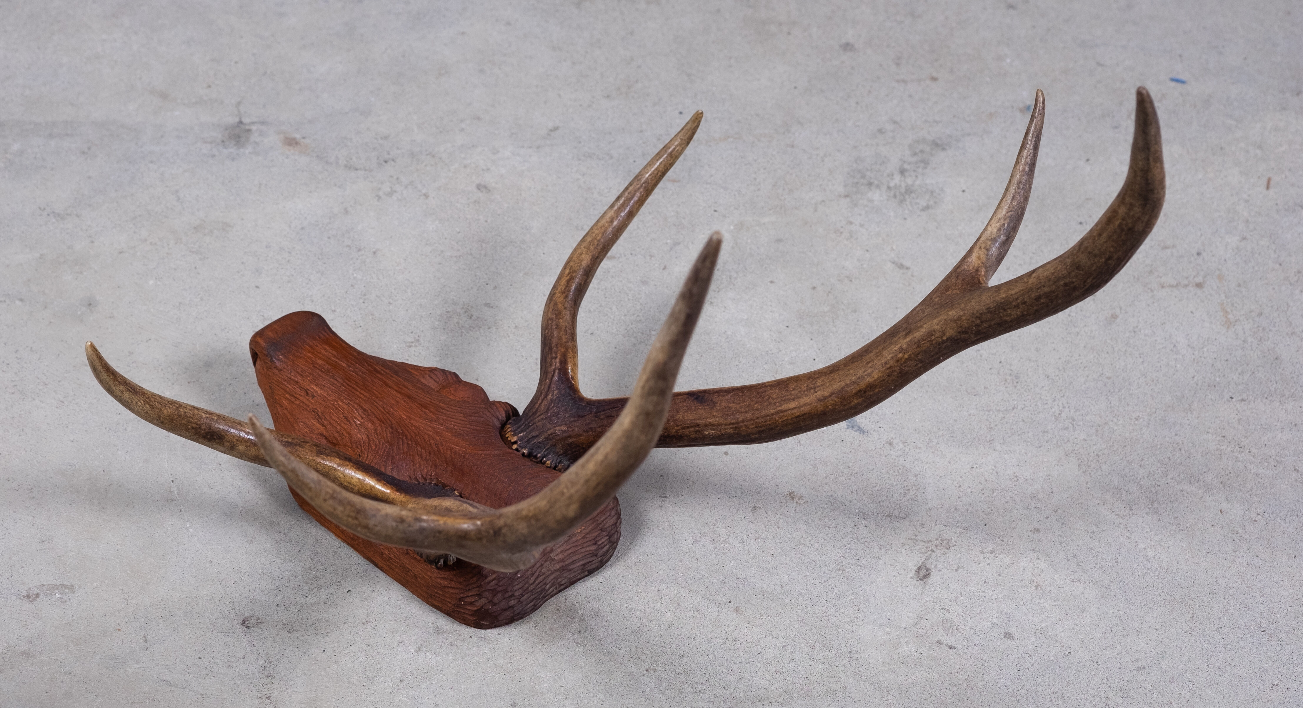 Antlers on carved wooden head, Danish design, 1960s