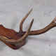 Antlers on carved wooden head, Danish design, 1960s