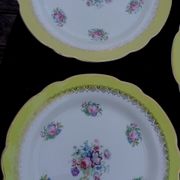 10 assiettes plates modèle graziella sarreguemines & digoin