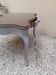 Rosewood desk table XIX century