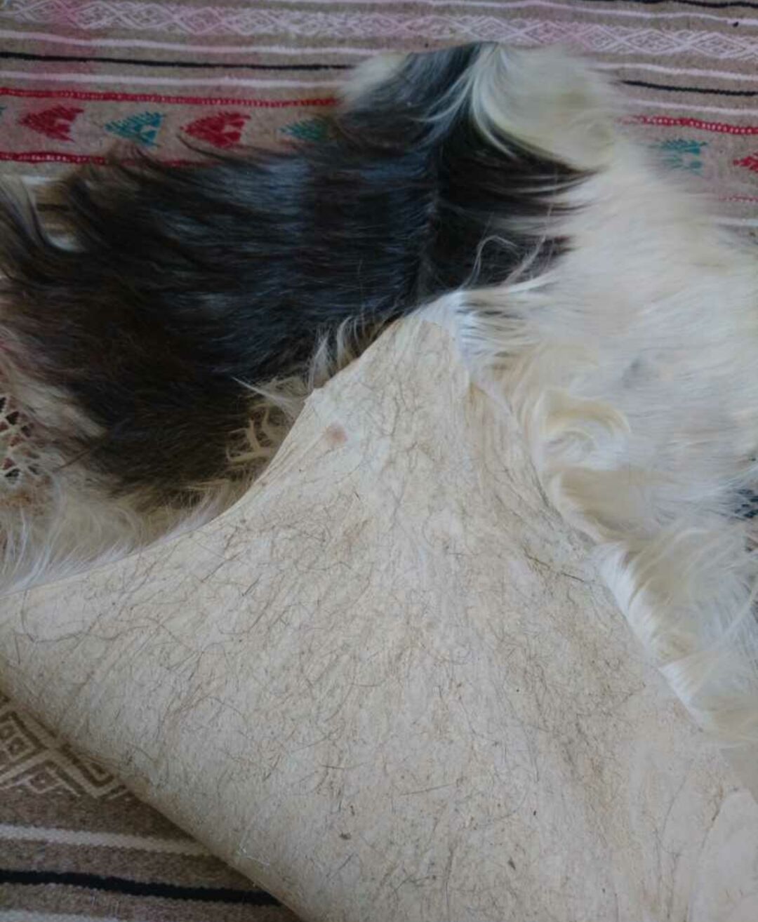 Natural black and white goat skin 92x47cm