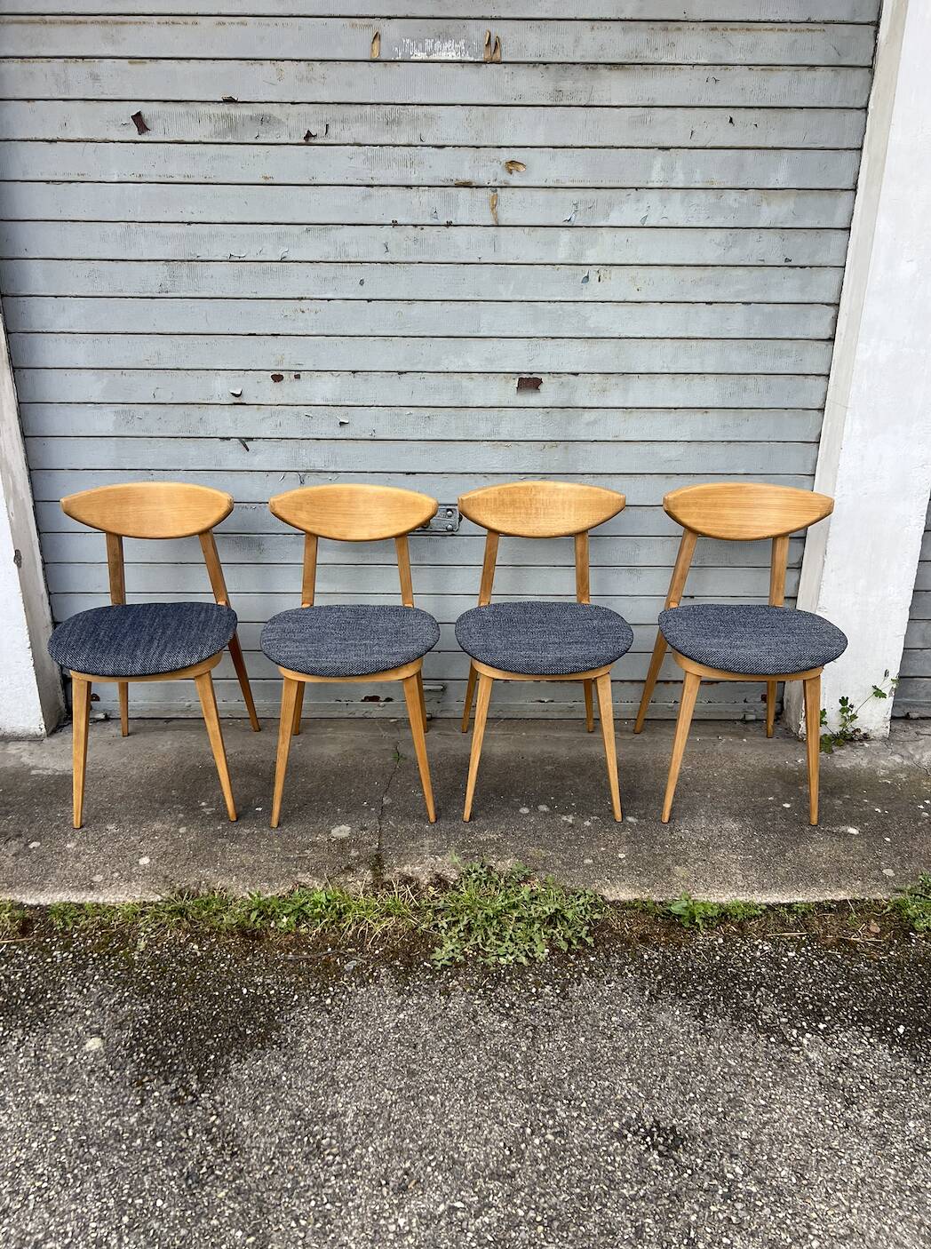 (Lot) 4 chaises Baumann Fontania (restaurées) 1960