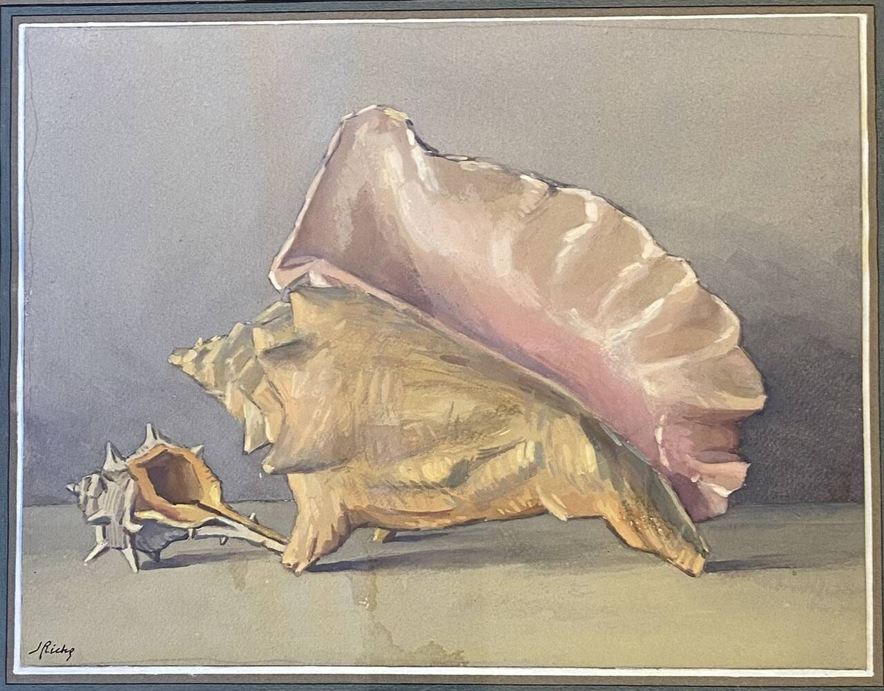 Old painting, still life with shells, 20th century