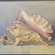 Old painting, still life with shells, 20th century
