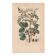 Botanical plate from 1839 - Pistachio trees - Old engraving of a kitchen tree