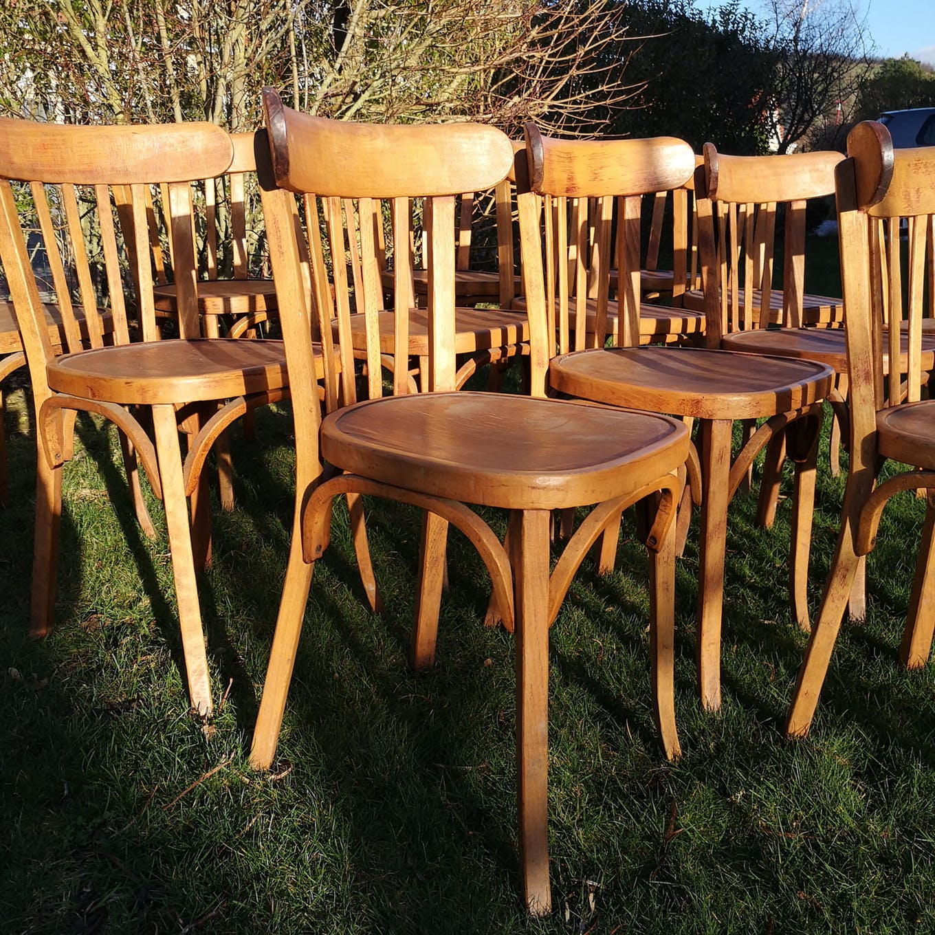 Set of 8 chairs Bistro Baumann