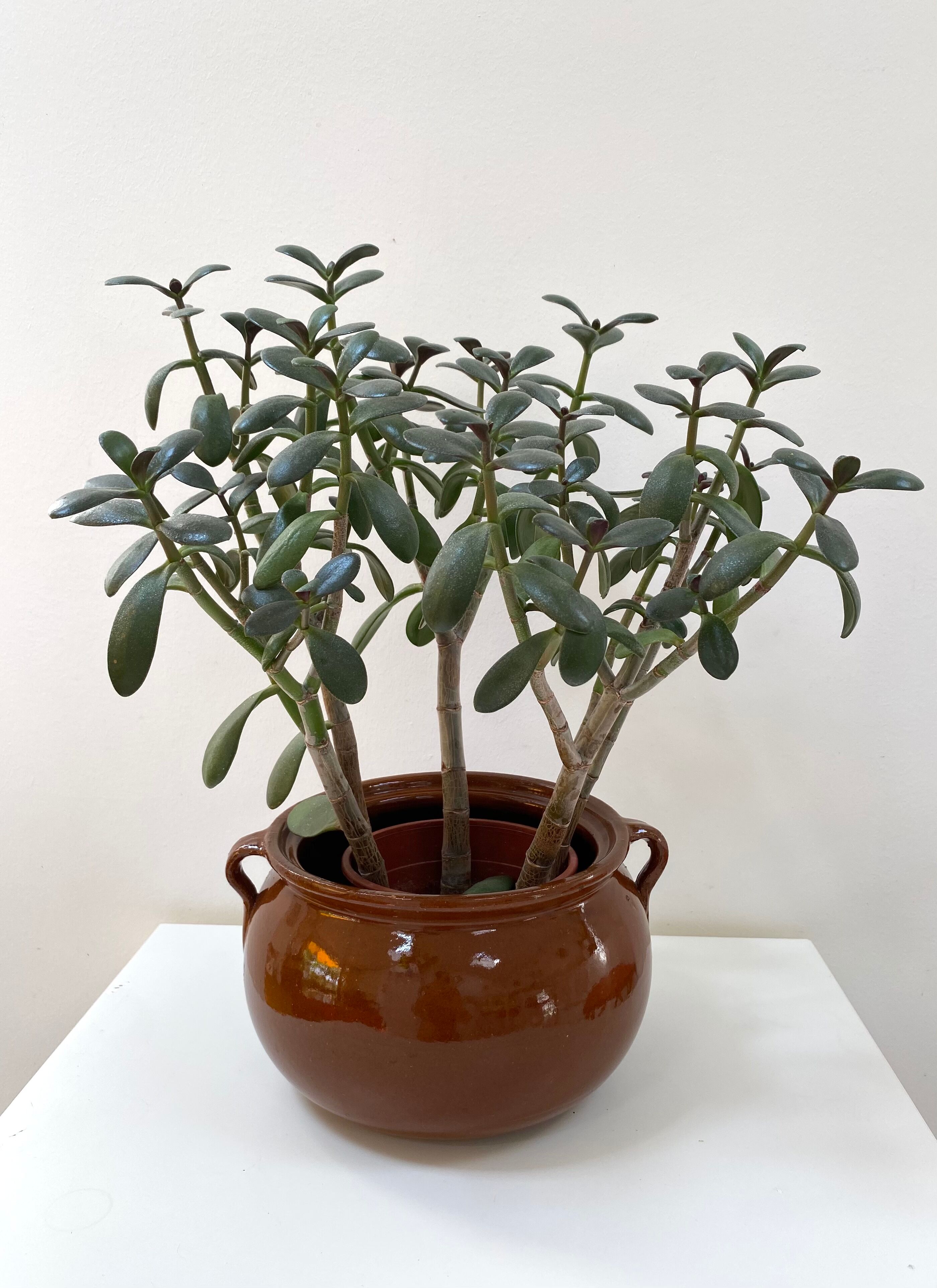 Glazed sandstone pot cover