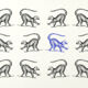 Lemur illustration 1850