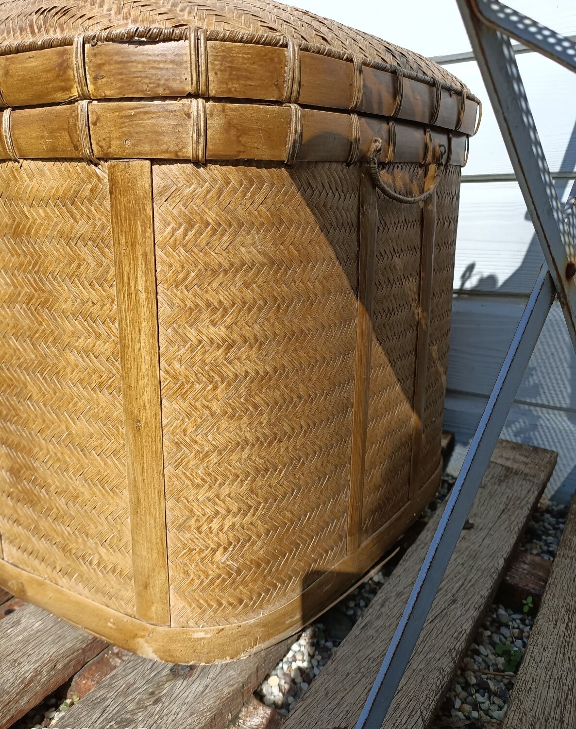 Old trunk rice straw