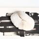 White coral, cabinet of curiosities, 70s