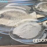 Arcoroc fish service