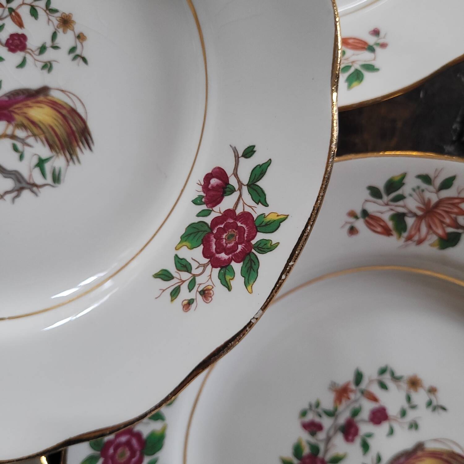 Porcelain dessert plates with bird decoration – Gressey 50s