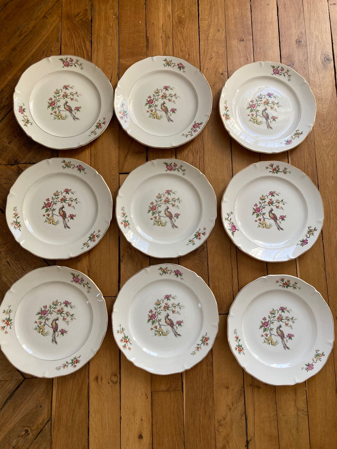 Set of 9 Regency plates