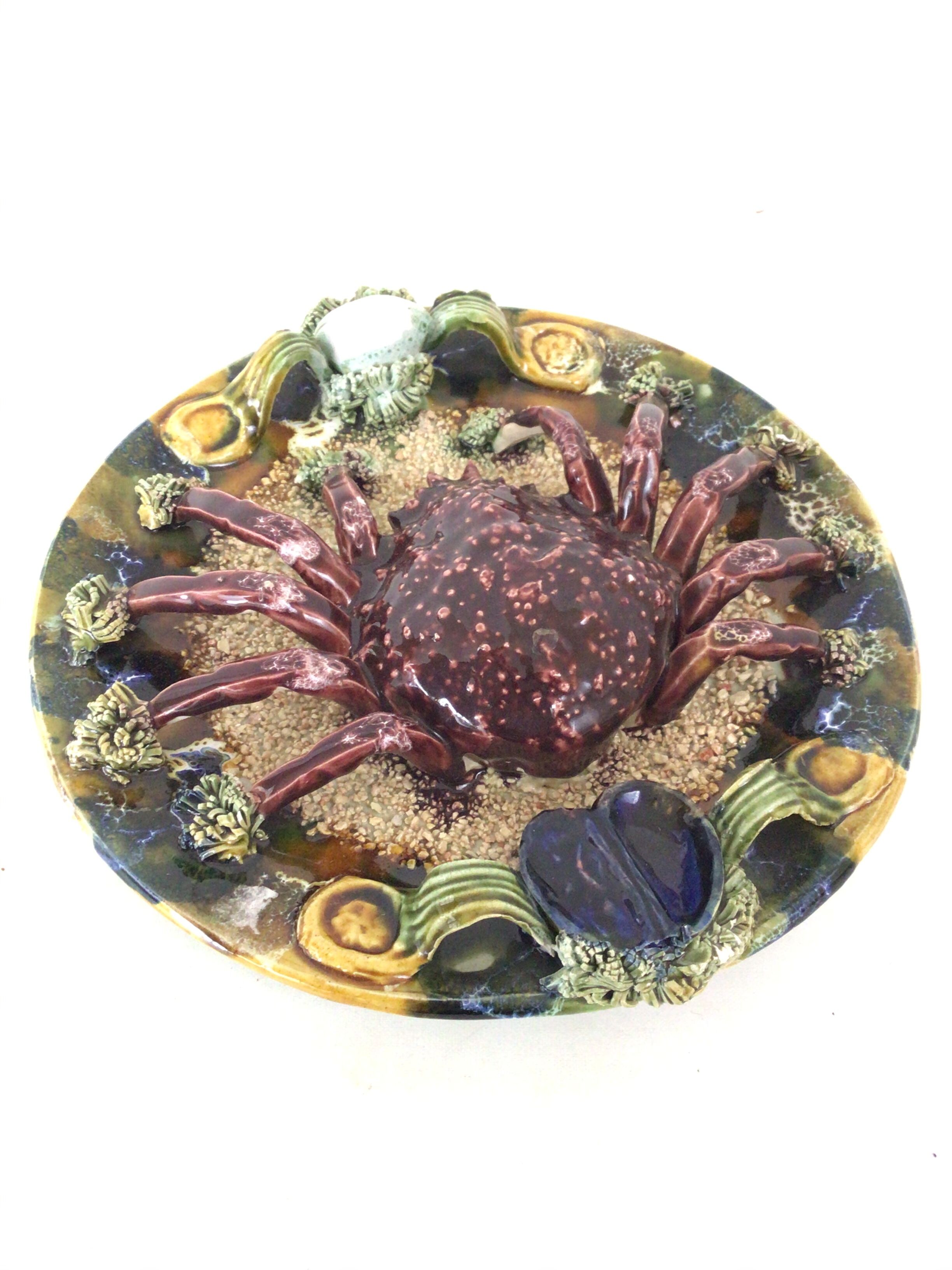 Naturalistic plate Spider earthenware of Caldas
