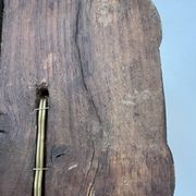 Sculpted wooden lamp with faces, antique.