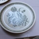 3 dinner plates