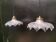 Pair of holophane glass suspensions
