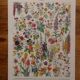 Lithographies originales sur les fleurs