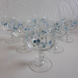 6 Verres myosotis