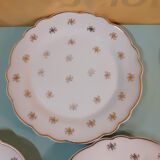 Limoges Salmon porcelain plates - 6 plates