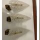 Barovier Murano Glass Sconces Set of 3
