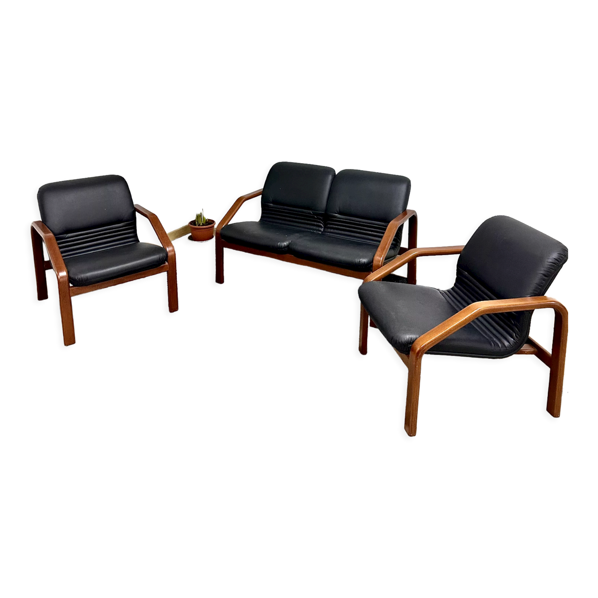 Design living room in black leather