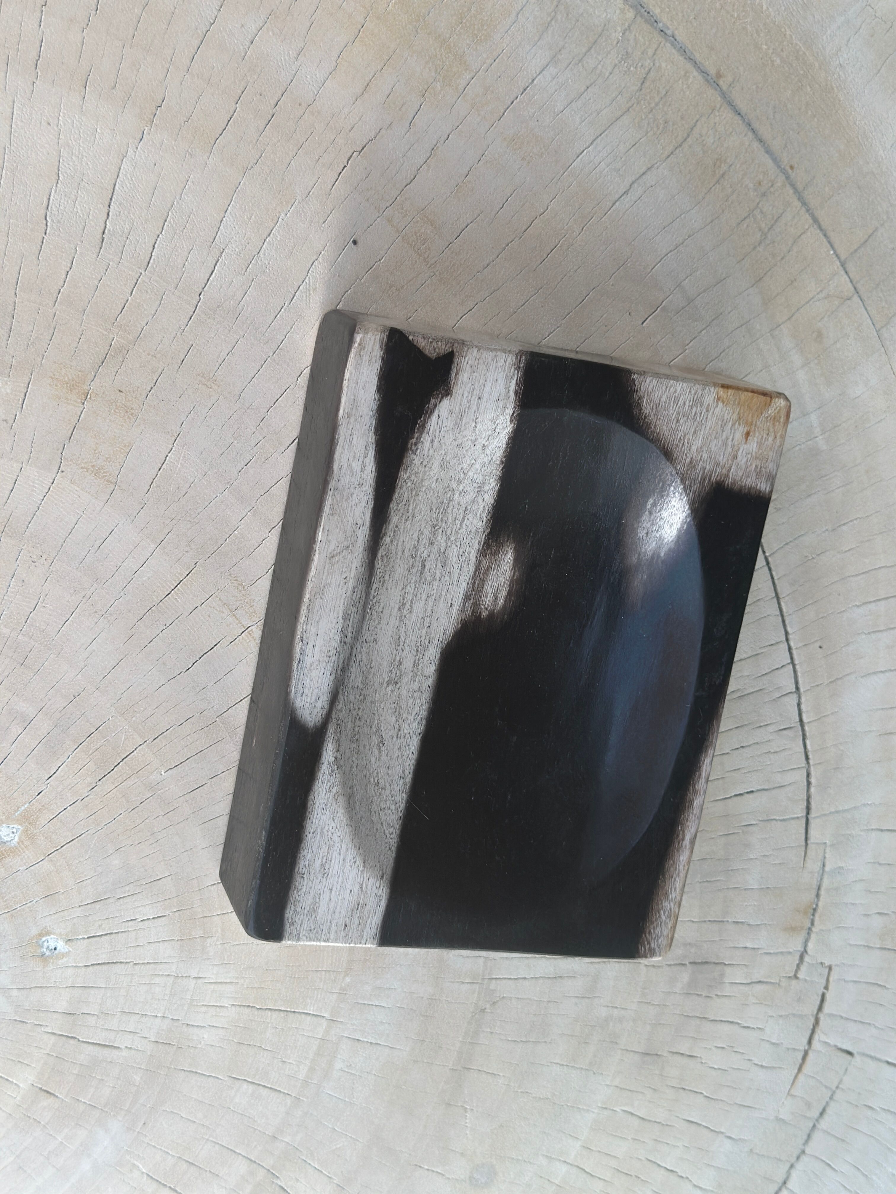 Symmetrical multicolored petrified wood soap dish