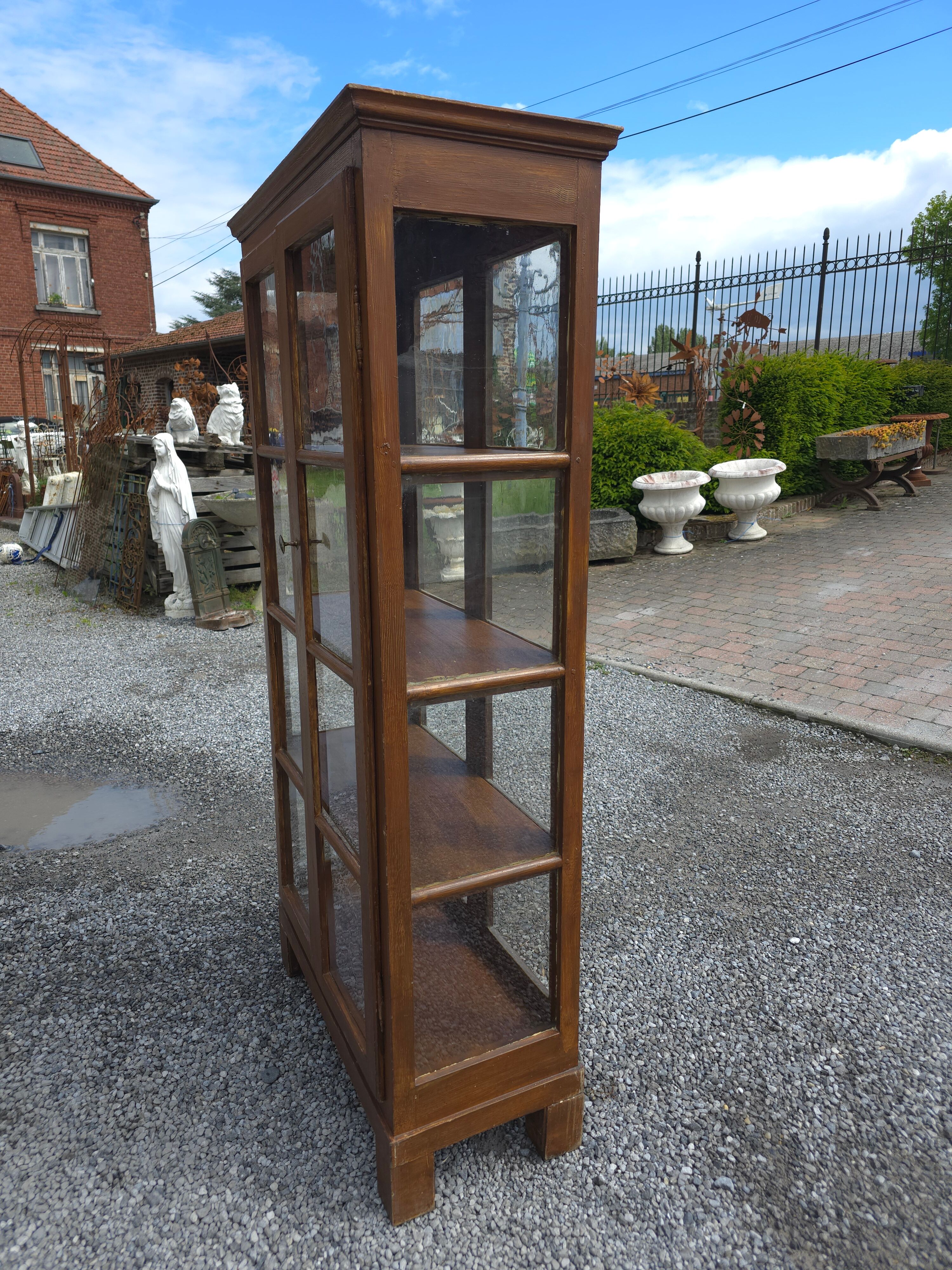 19th Century Pine Display Cabinet