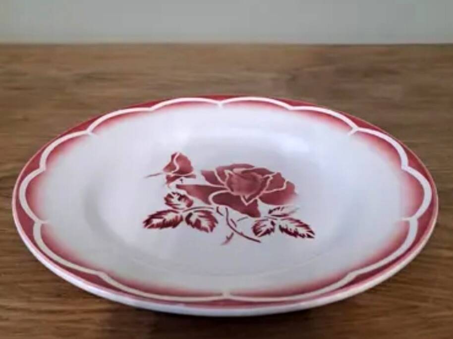 7 assiettes plates Digoin Sarreguemines modèle Orly