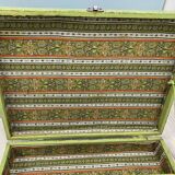 Green painter's case