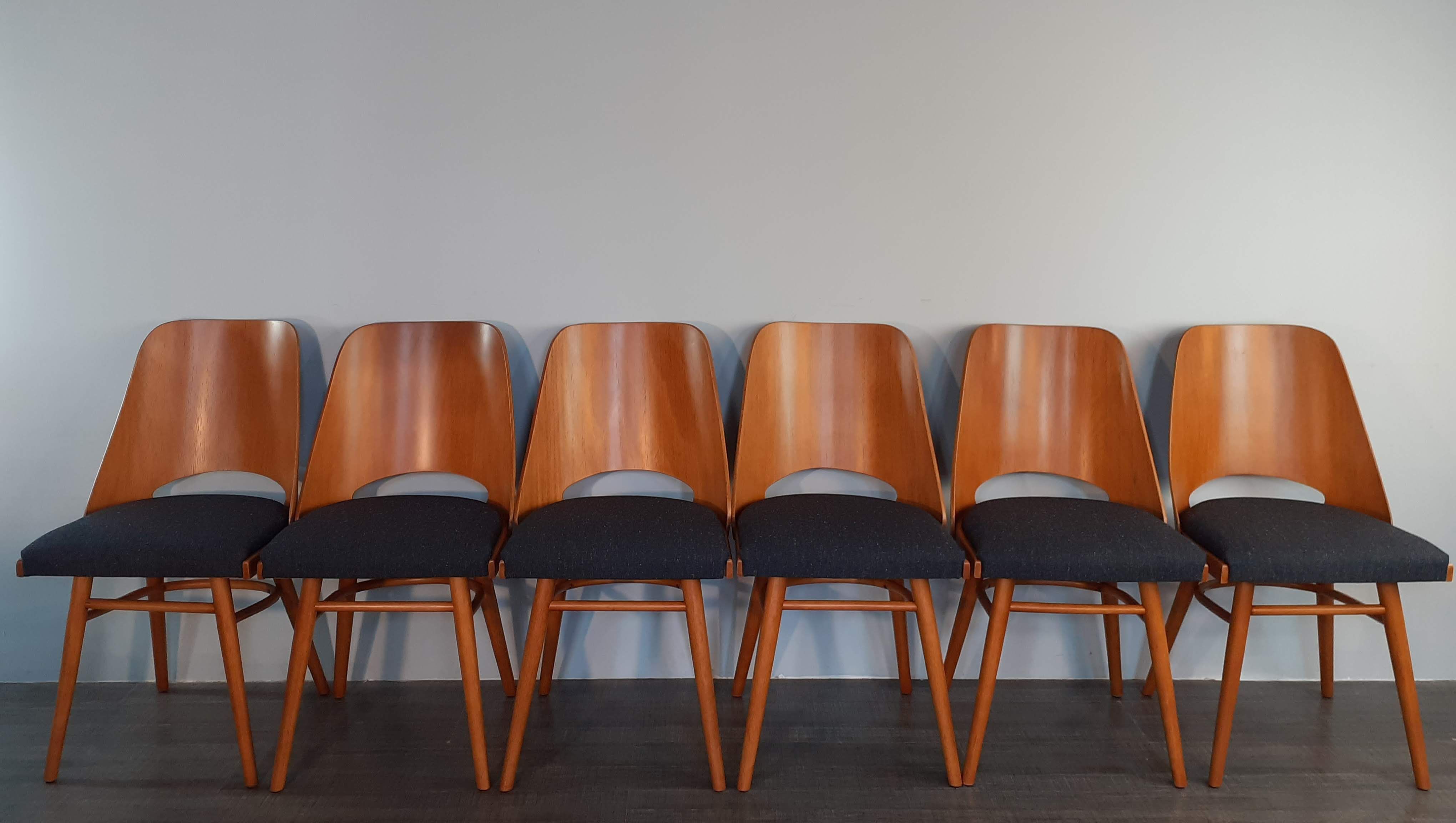Set of 6 renovated chairs, design Oswald Haerdtl by Ton, Czech, 1960s
