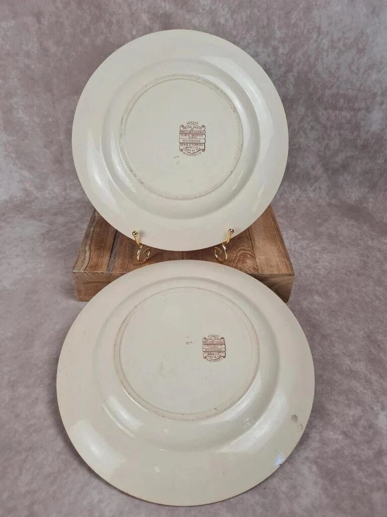 Set of 2 antique ironstone plates, "Daisy" pattern, Grand Dépôt Paris.