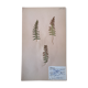 Anders's herbarium - ancient Swedish herbarium board