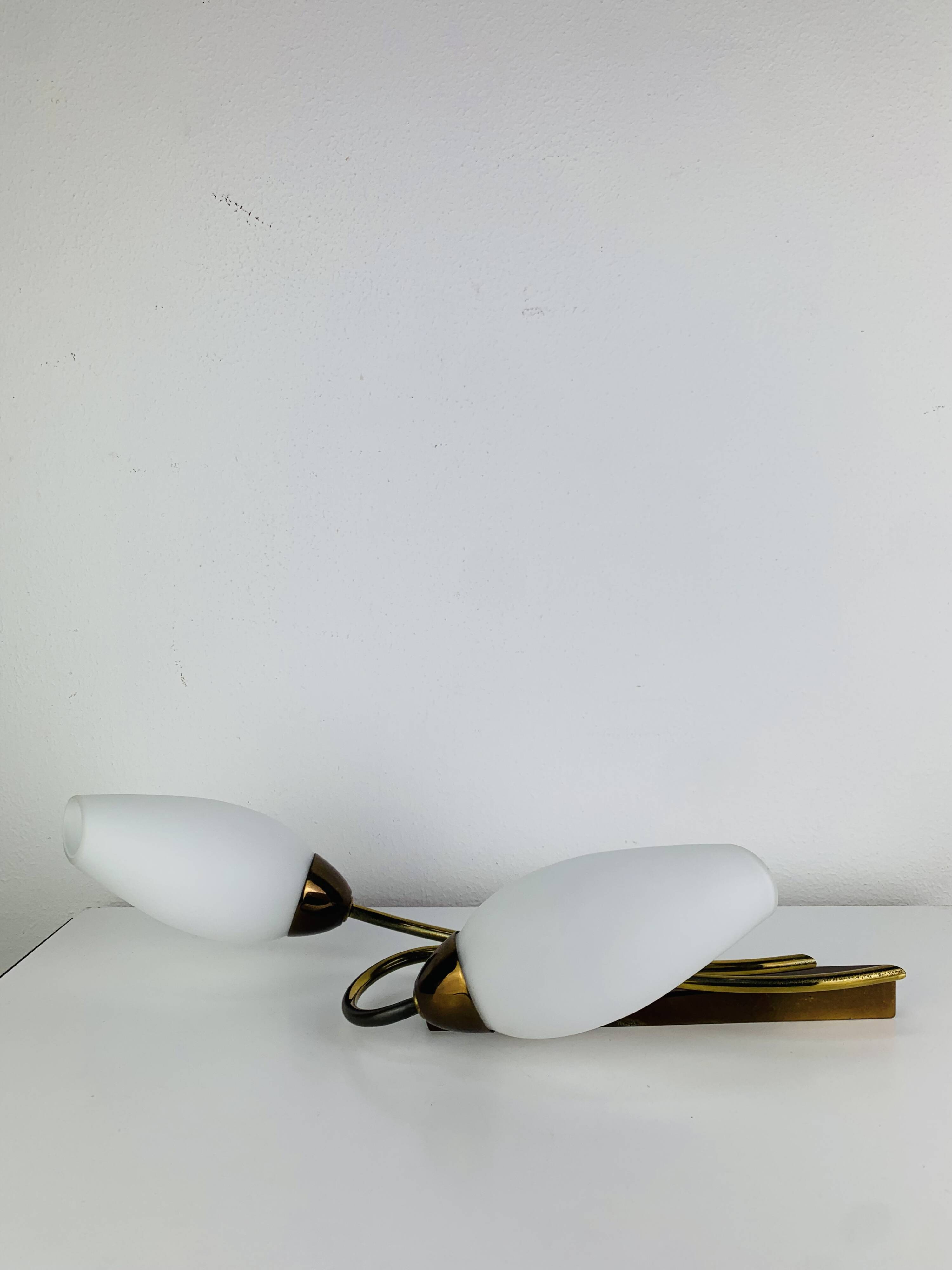 Pair of 1950s wall lights in brass and opaline tulips, Lunel/Arlus